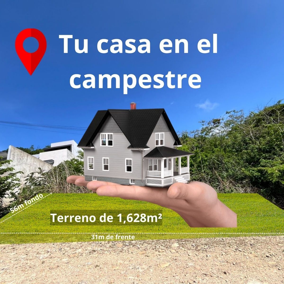 1 de 7