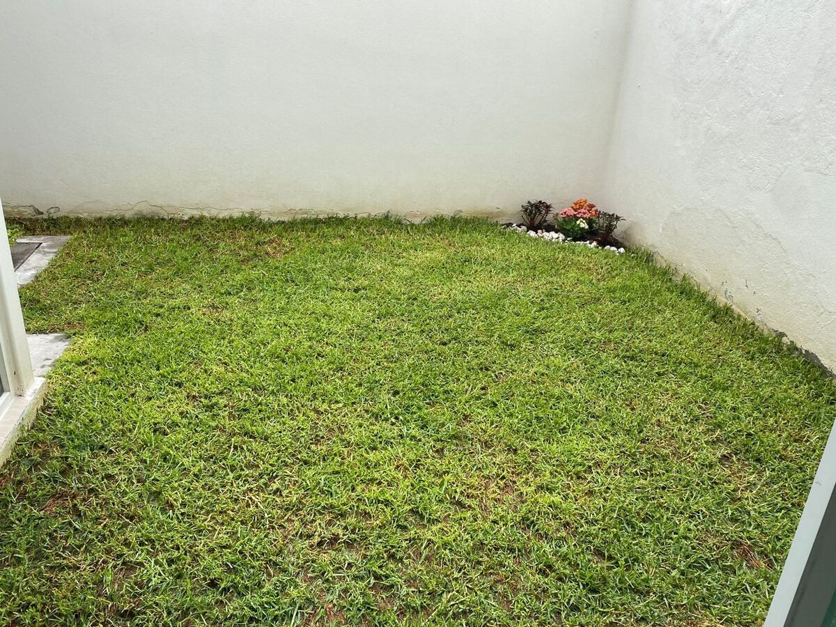 Imagen 10 de 10