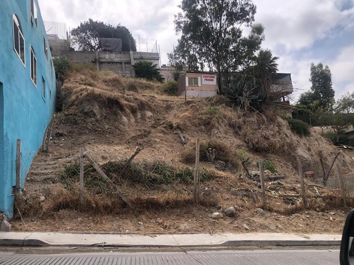3 de 6