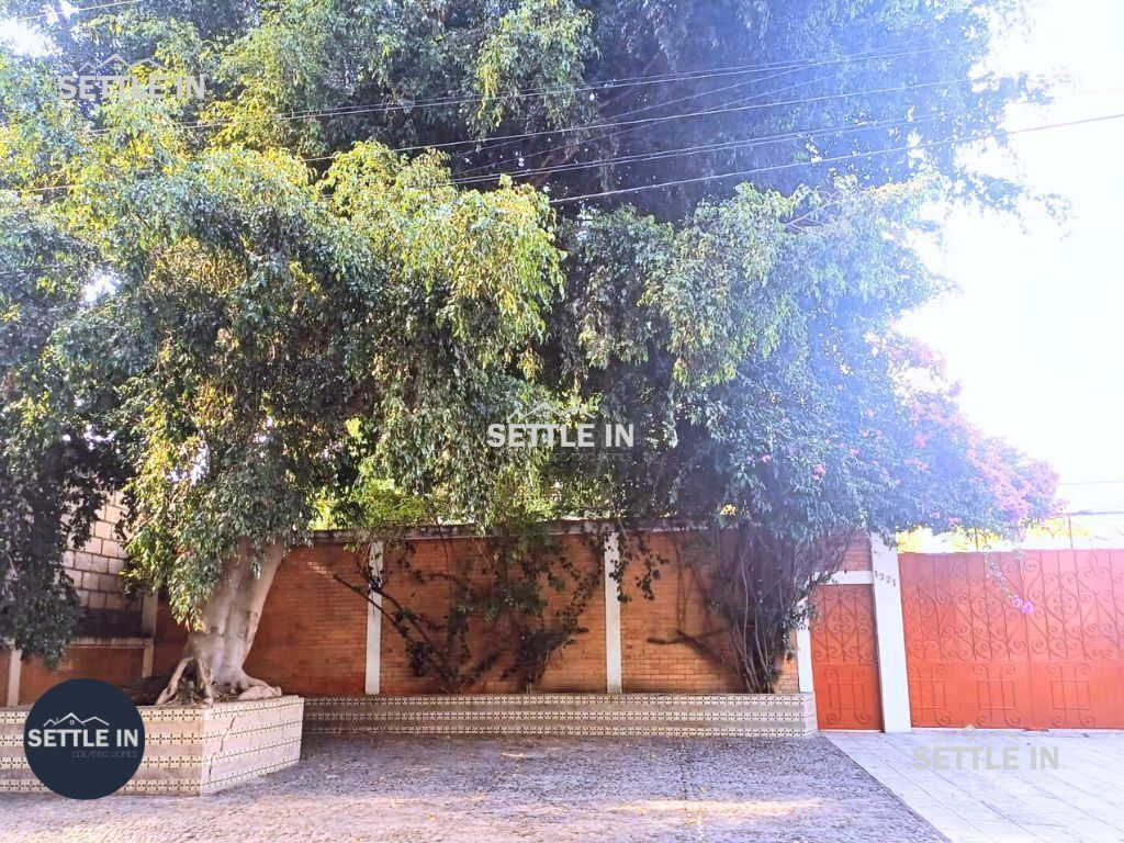 15 de 15
