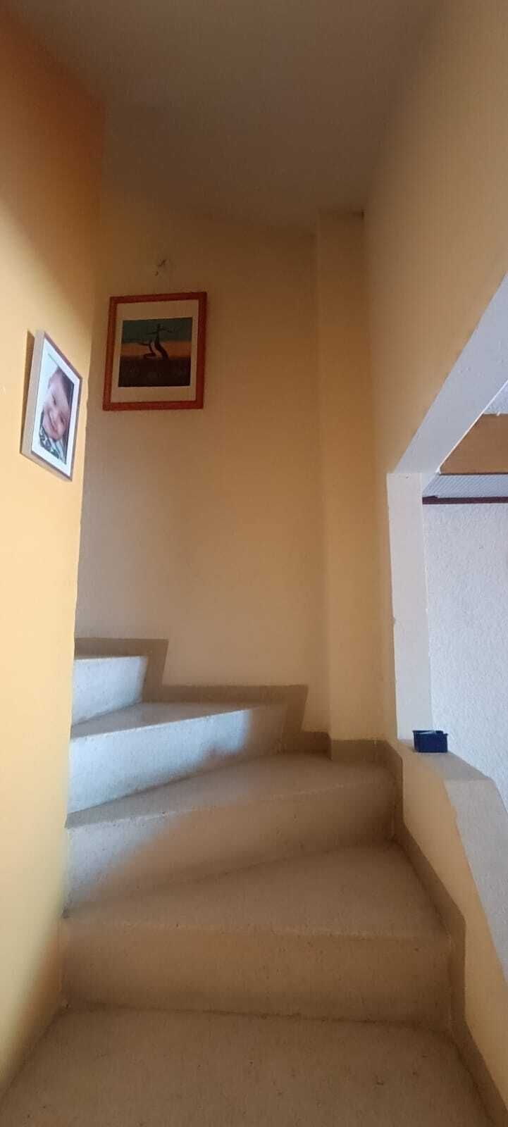 12 de 17