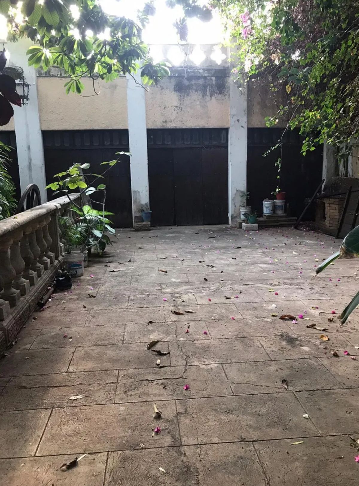 12 de 13