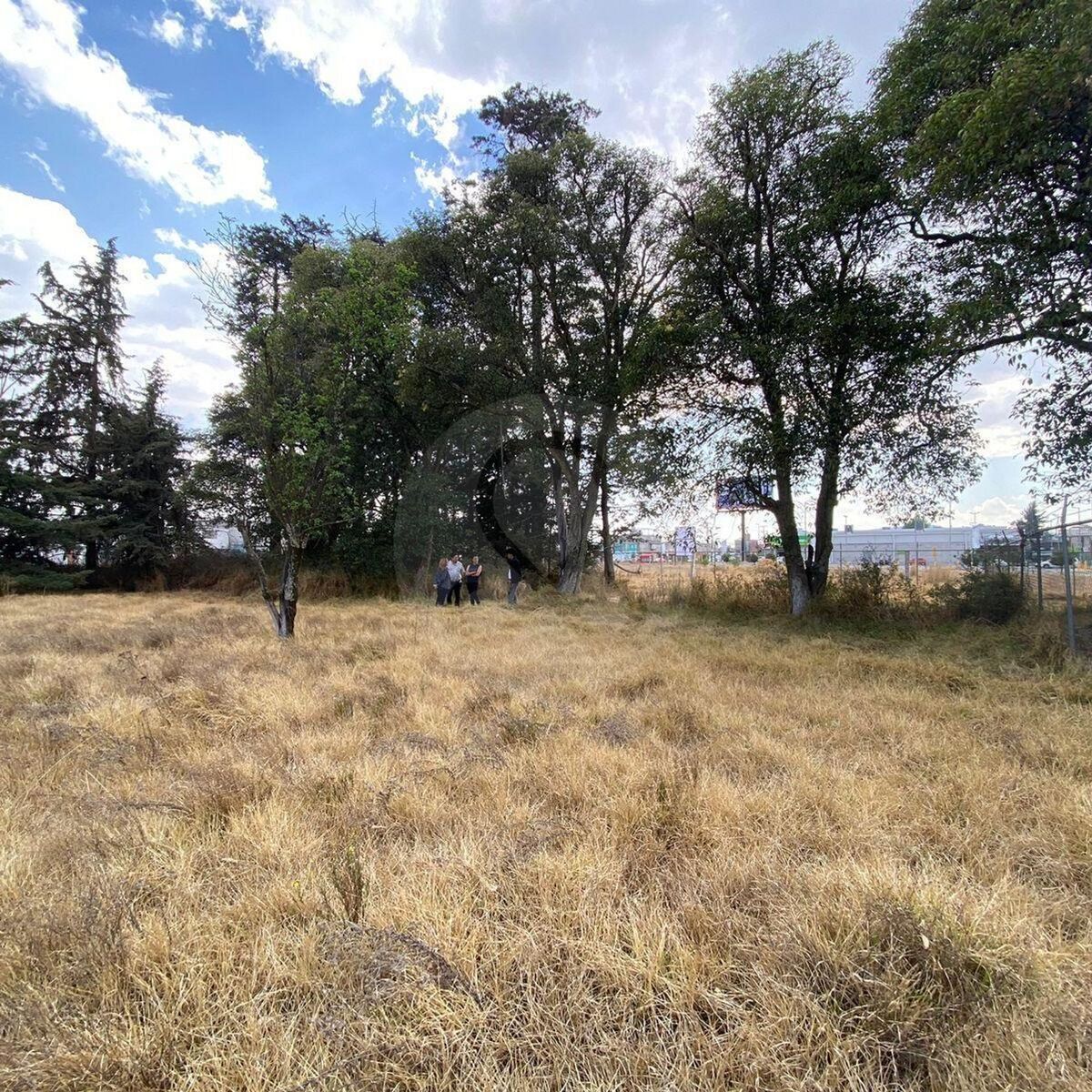 6 de 12