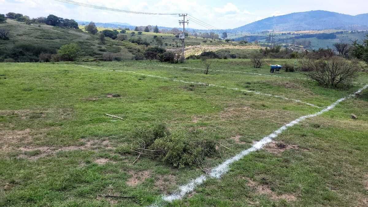 3 de 13