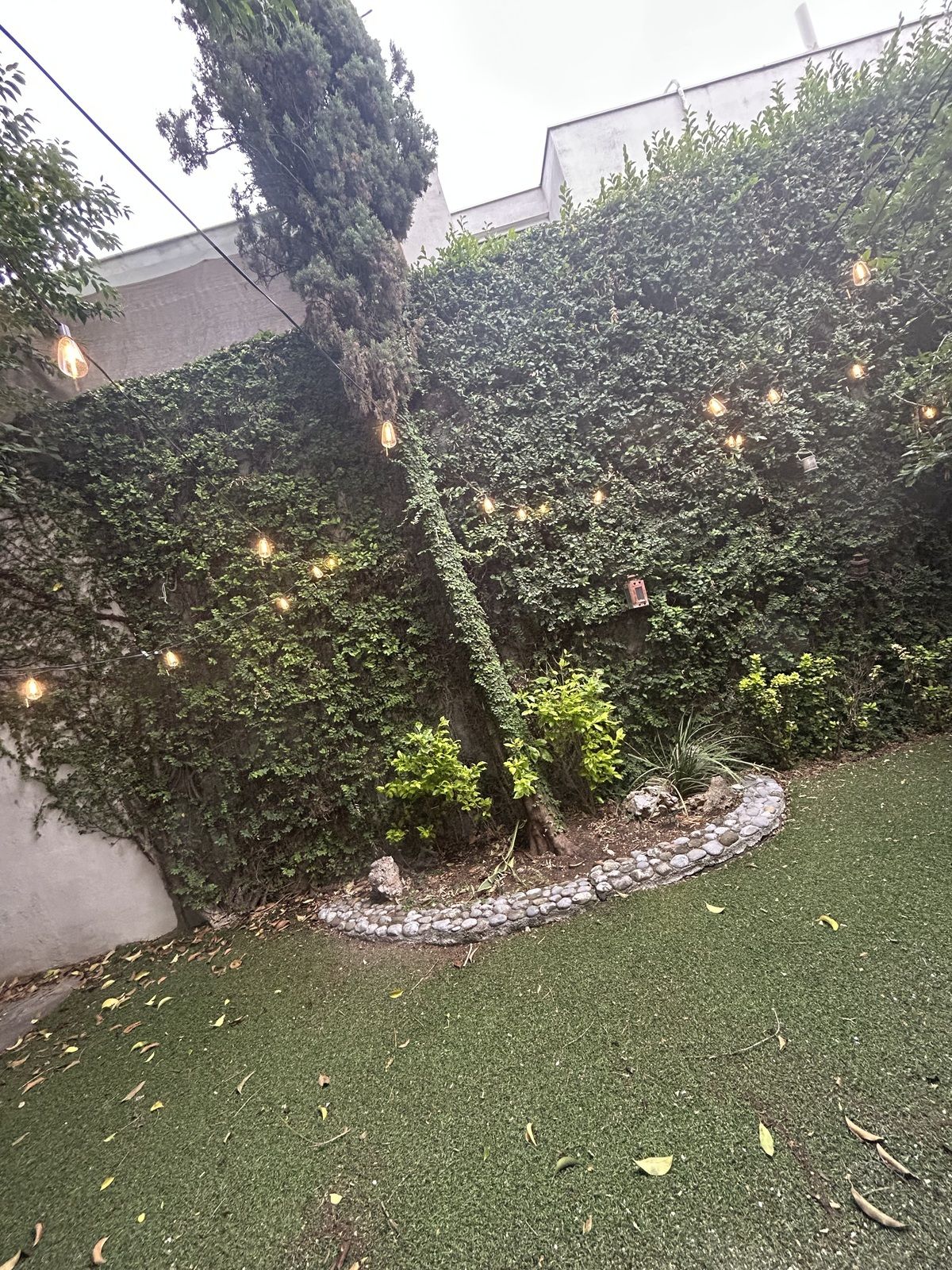 3 de 10