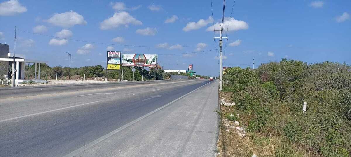5 de 11