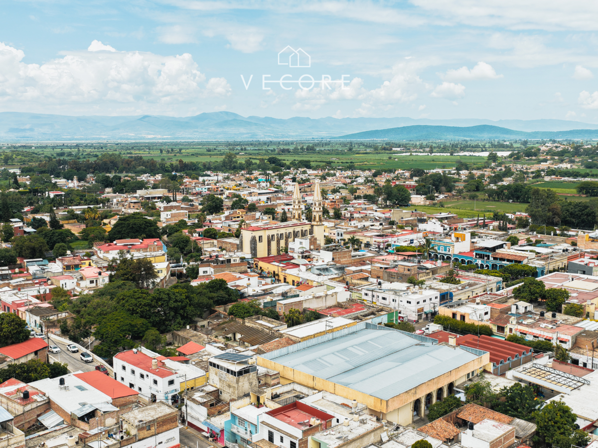 6 de 11