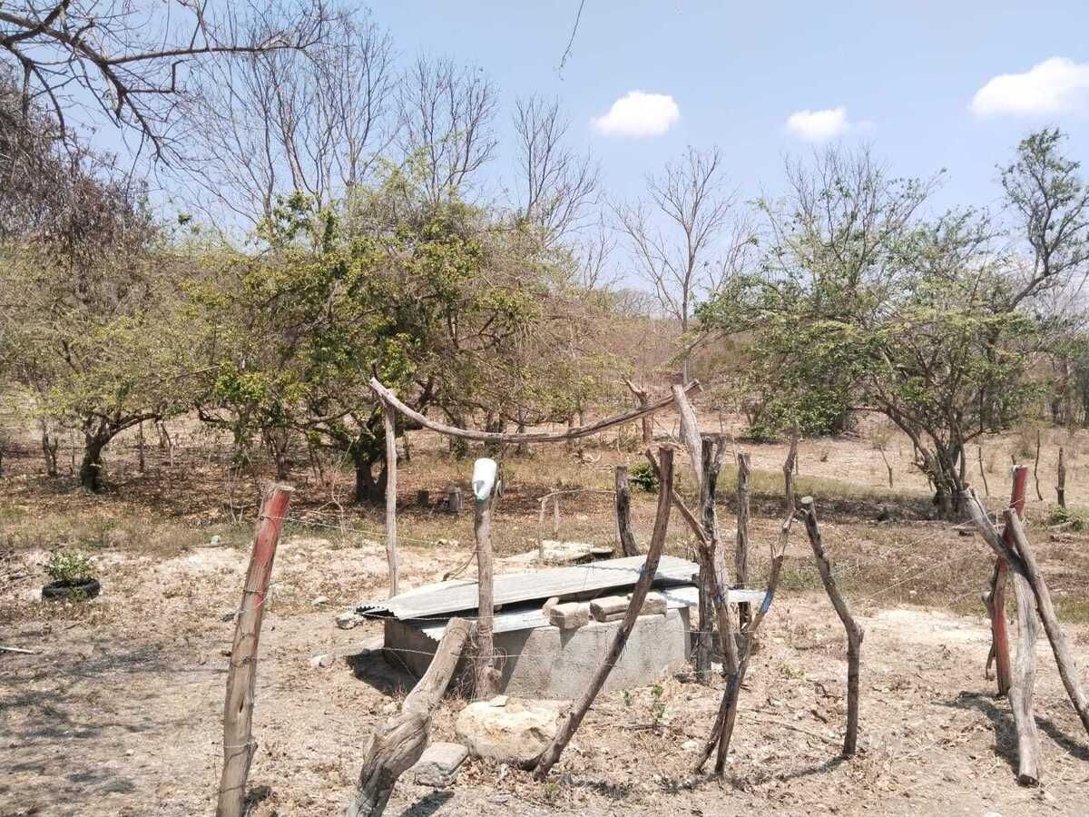 9 de 12