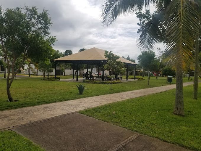 3 de 12