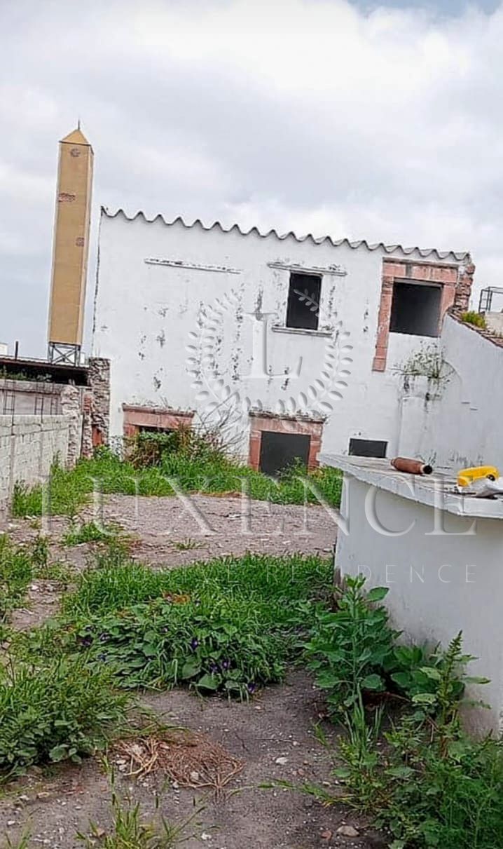 6 de 18
