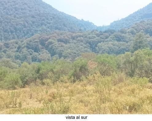 4 de 7