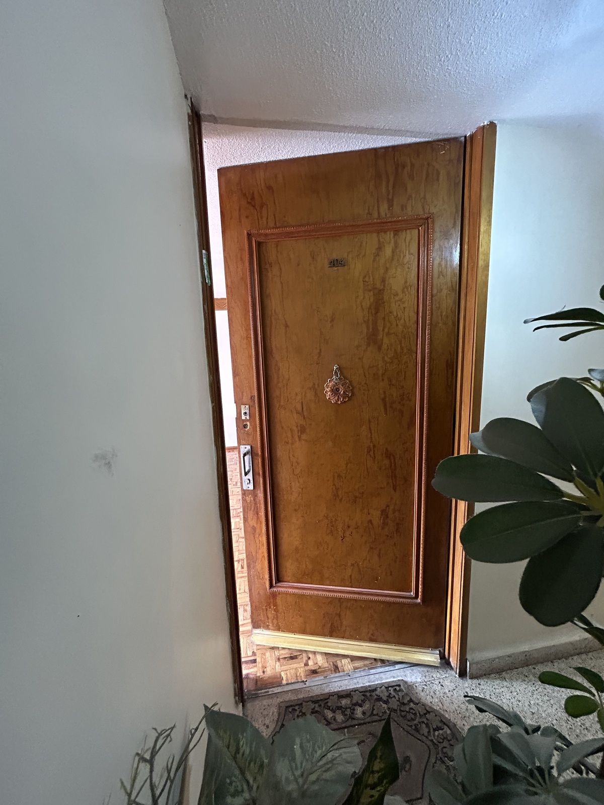 5 de 17: puerta principal