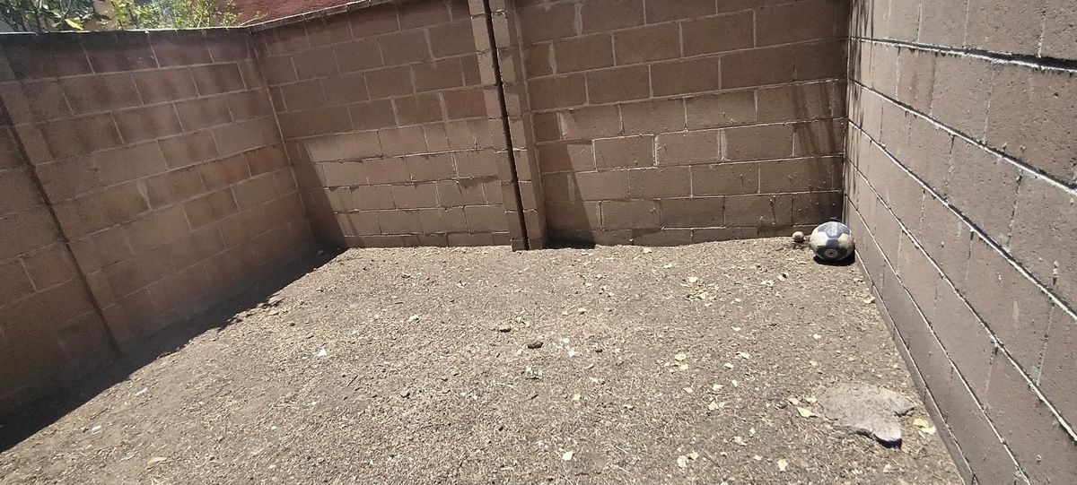 7 de 9