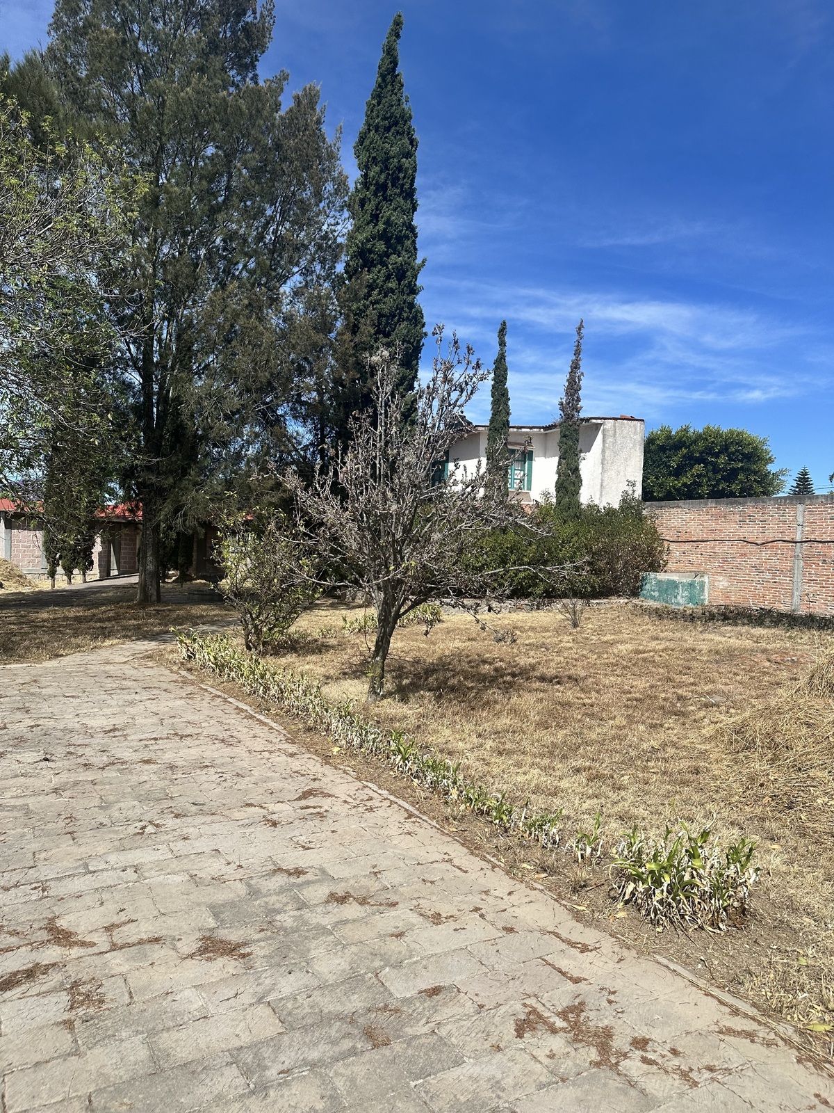 4 de 30
