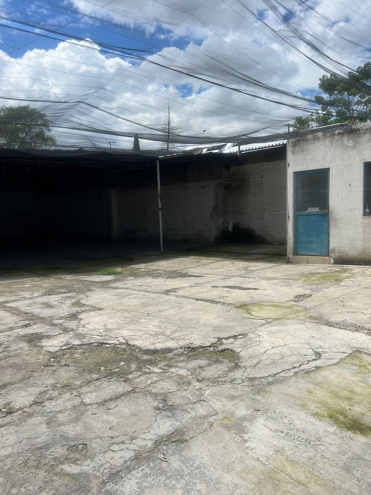 4 de 4