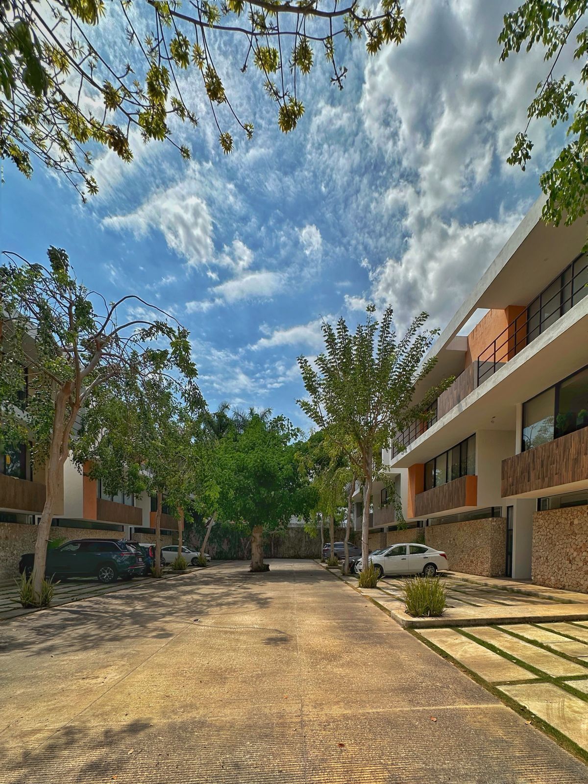 2 de 12