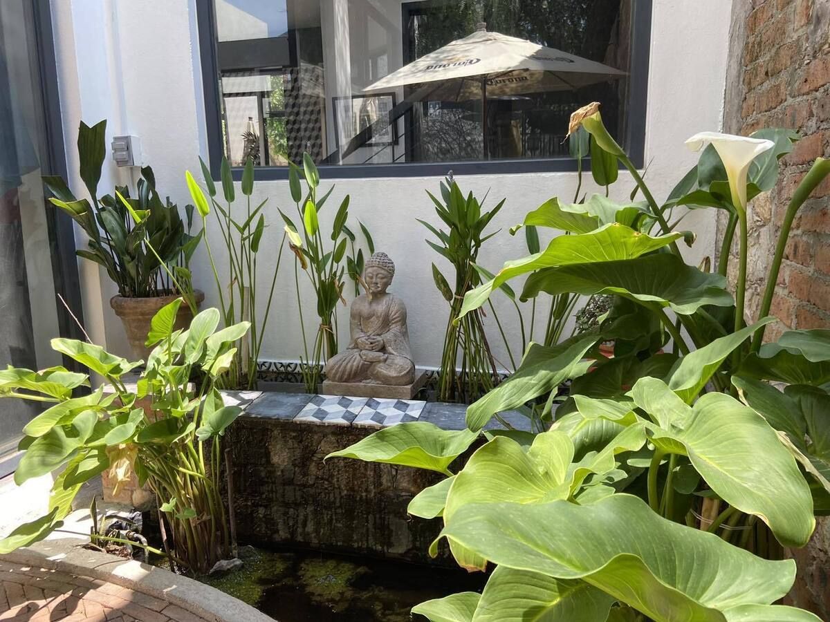 5 de 16: Jardín Zen "Petite"
