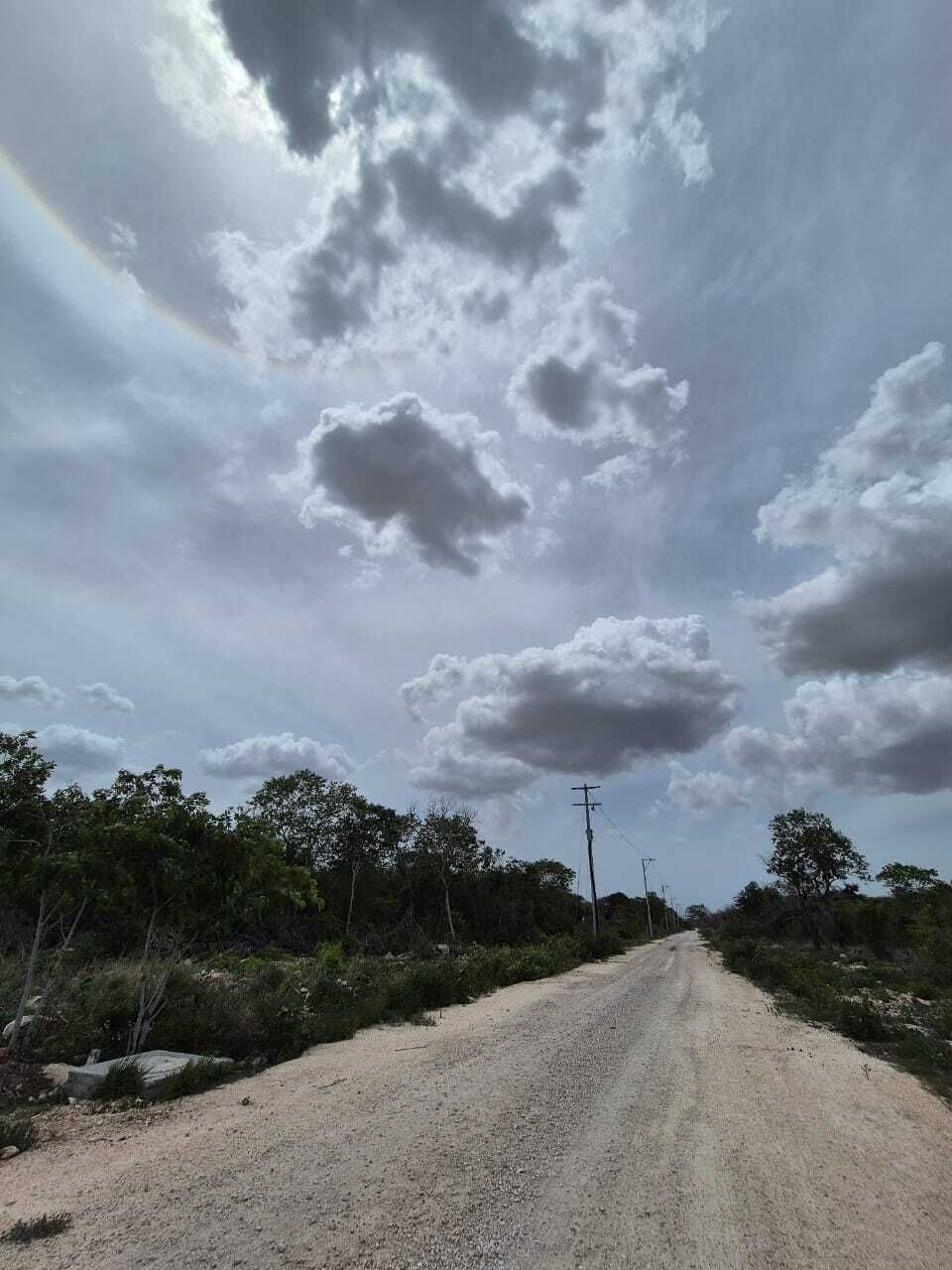 6 de 12