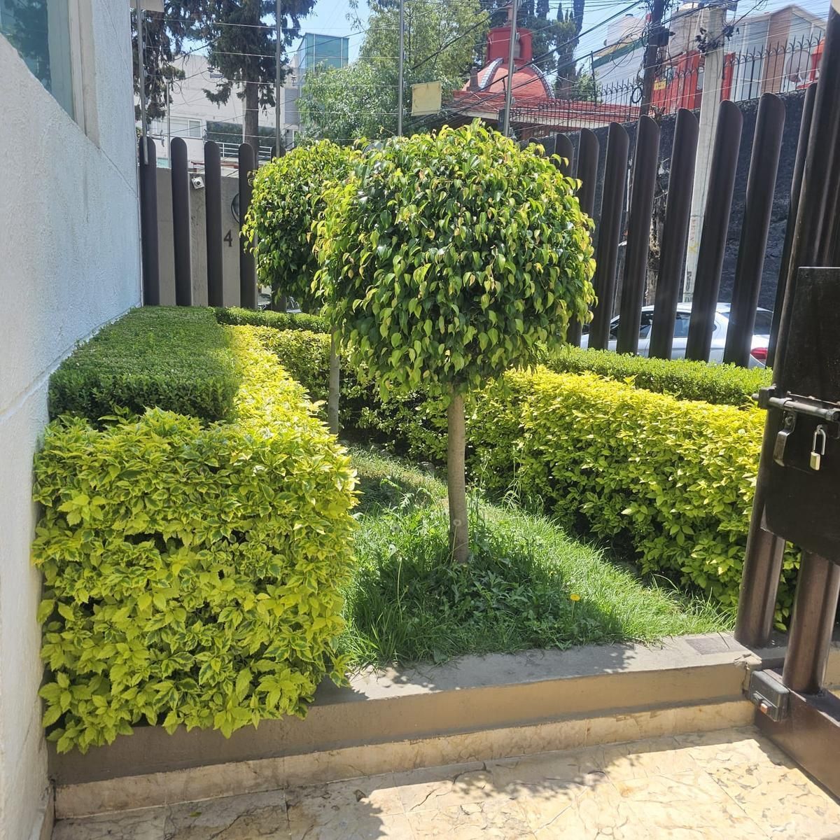 3 de 30: Jardin