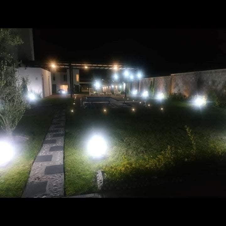 1 de 10