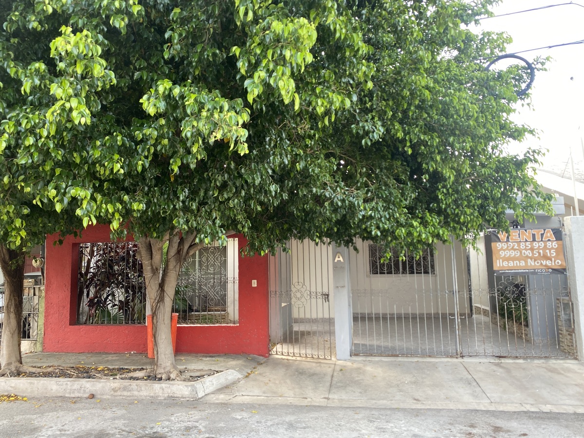 1 de 19