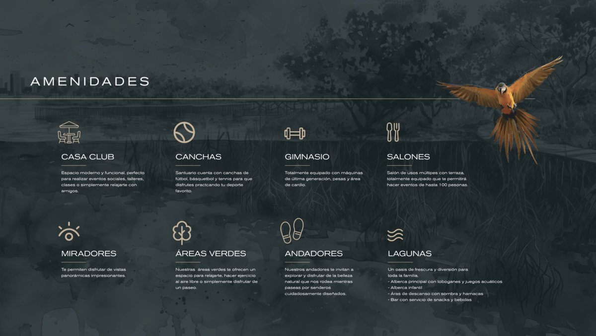 Imagen 8 de 8