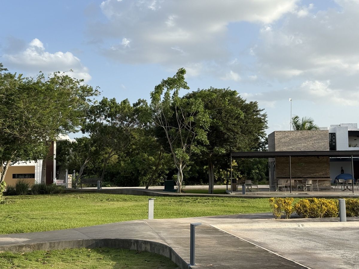 3 de 11