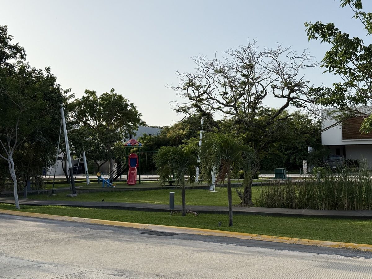 5 de 11