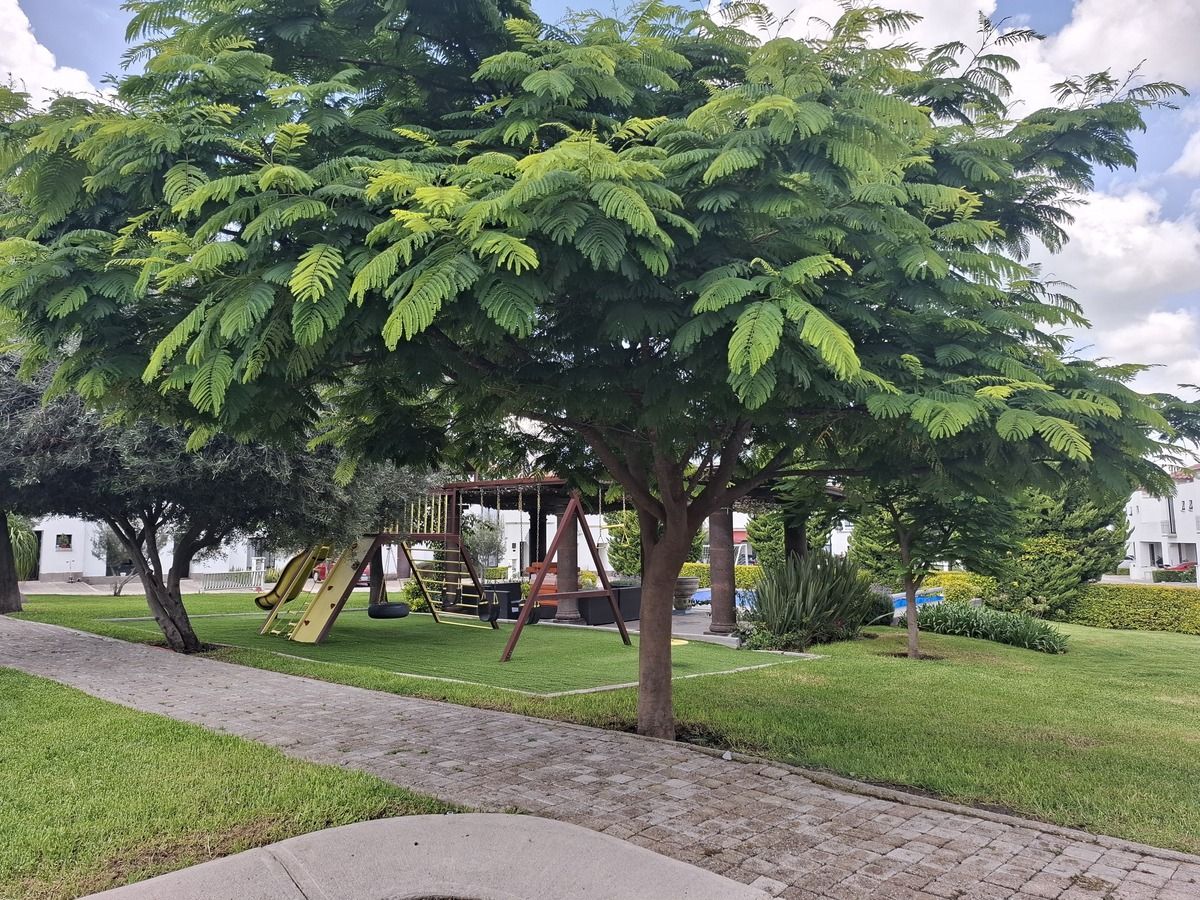 17 de 18