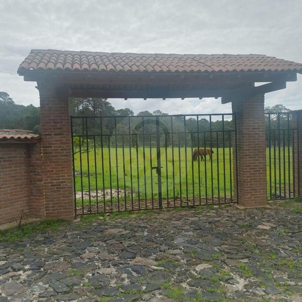 2 de 22