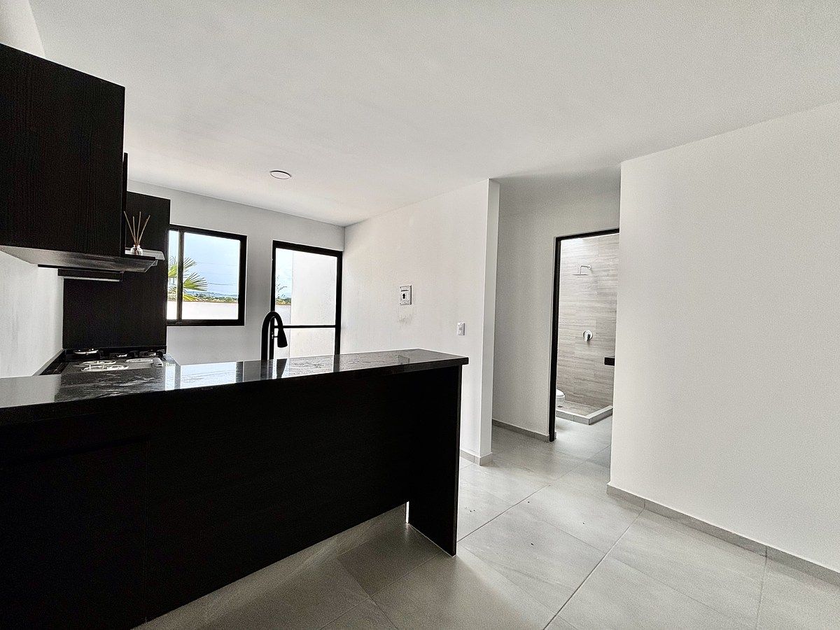 3 de 30: Acceso a patio trasero desde cocina .