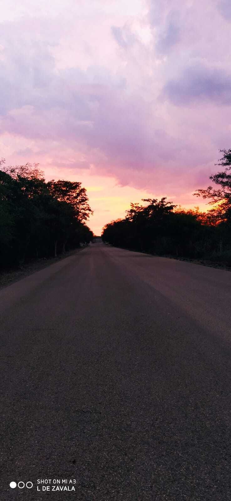 21 de 24