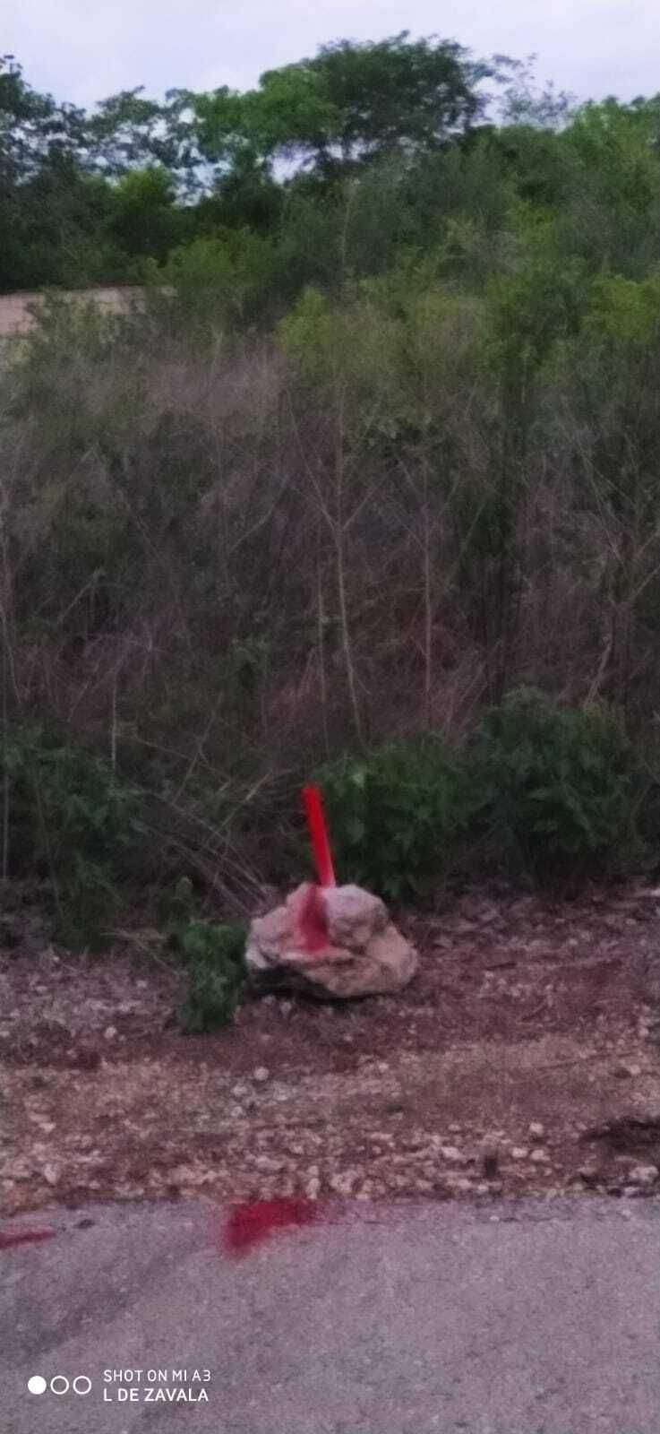 22 de 24