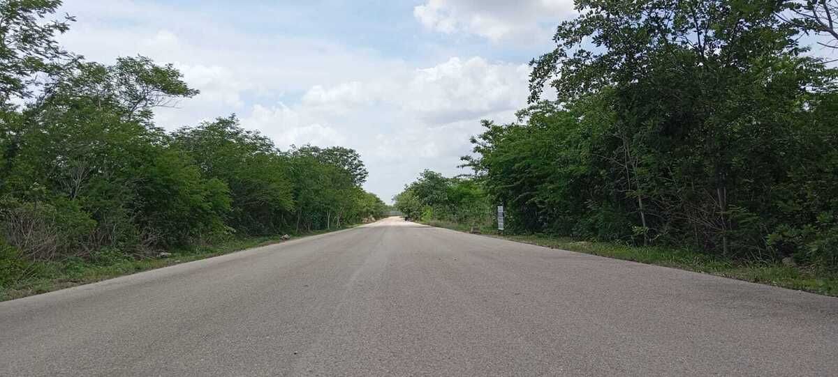 3 de 24