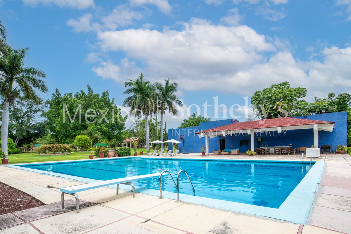 Rancho en Venta en Yautepec, Finca Chamilpa - foto 5