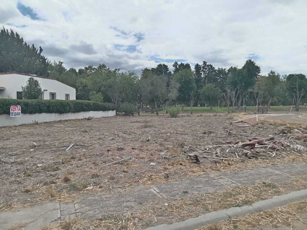 3 de 13