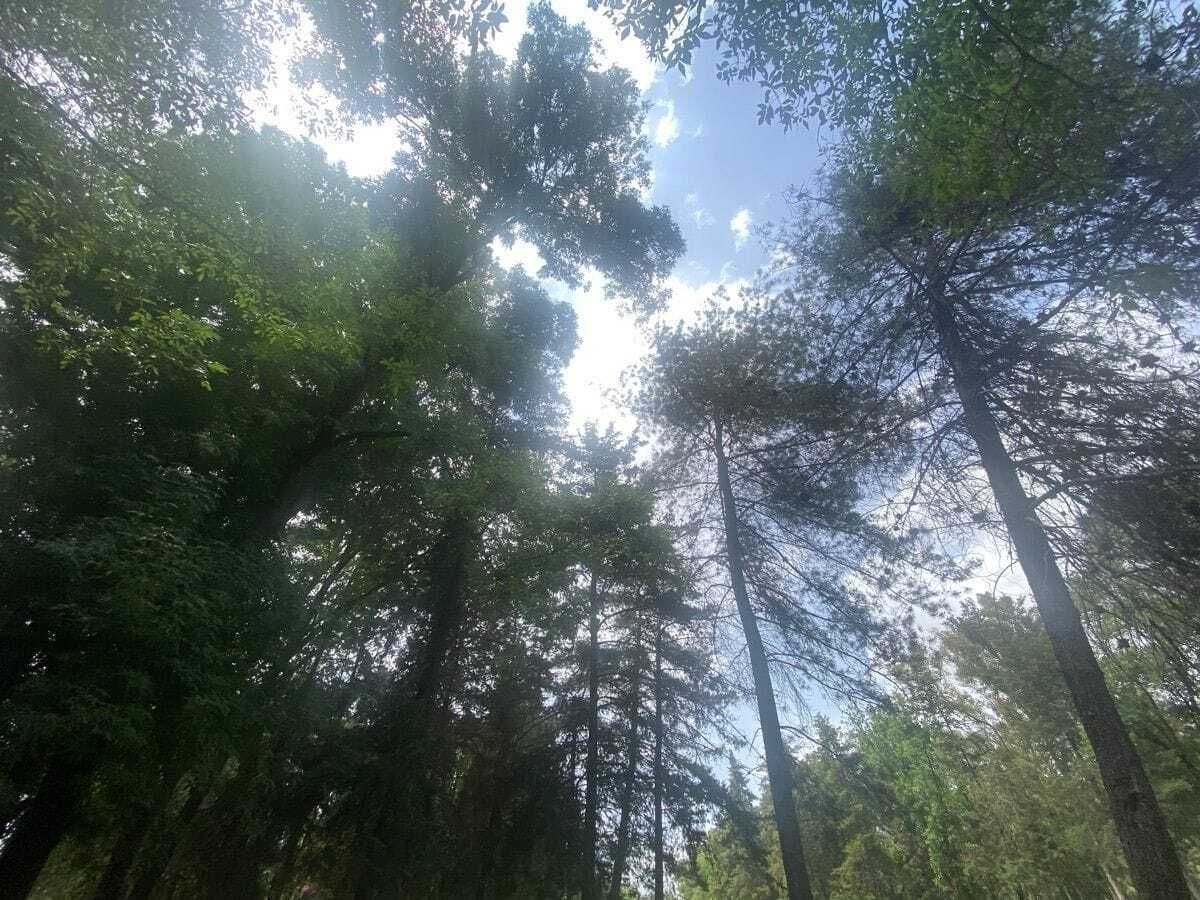 13 de 13