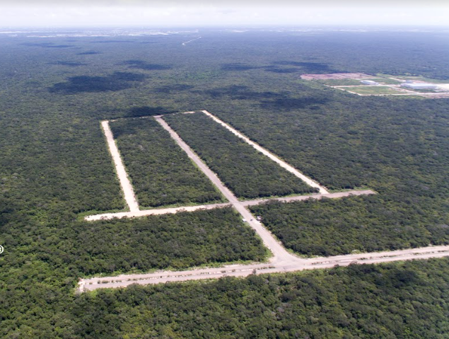 2 de 6