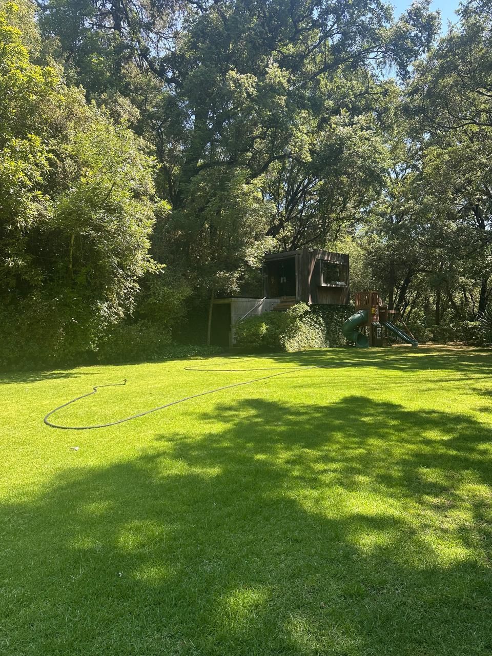 7 de 11