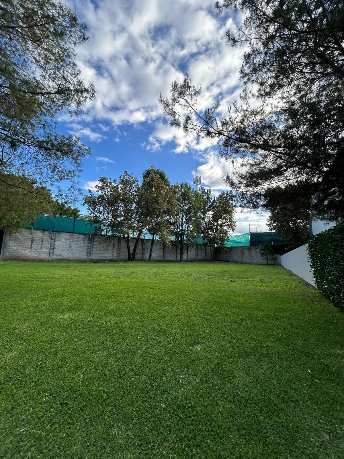 2 de 2