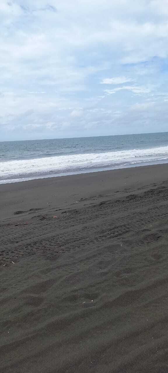 3 de 4