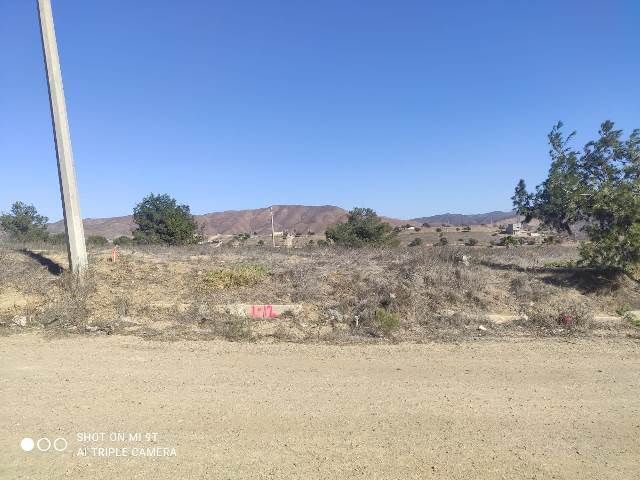 3 de 6