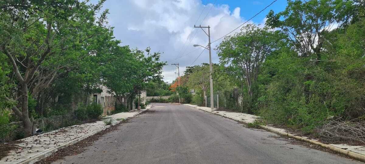 3 de 3