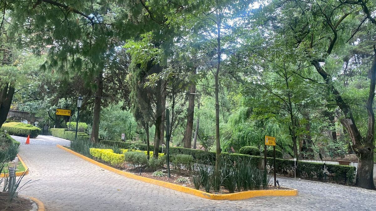 12 de 18