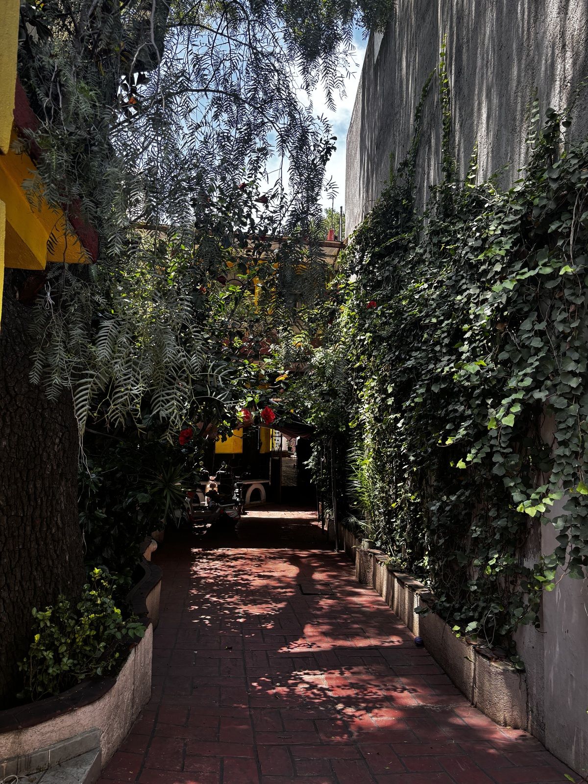 8 de 45