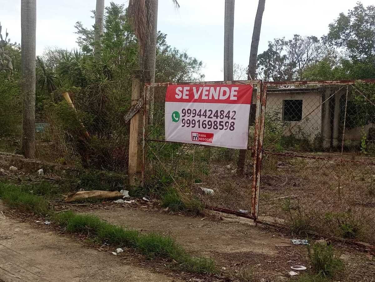 8 de 8