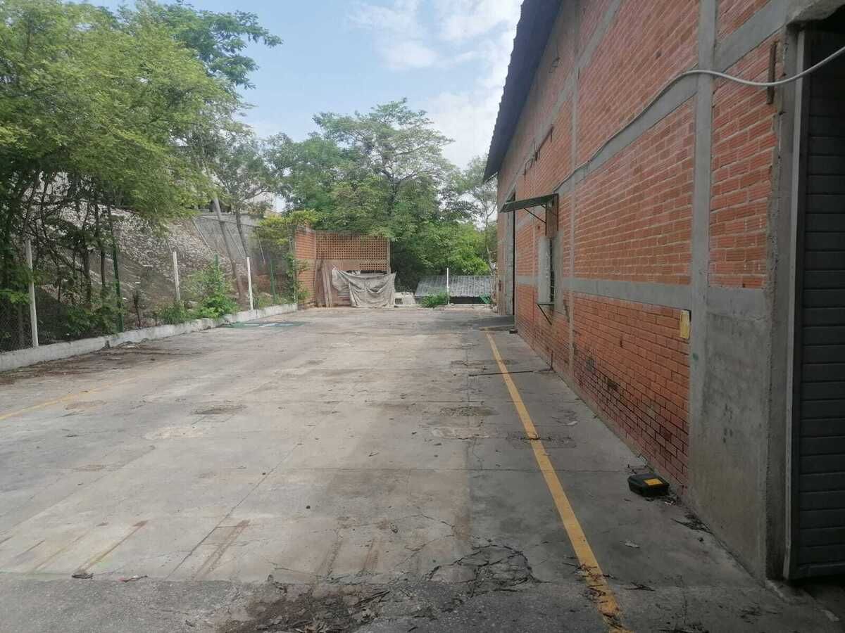 6 de 13