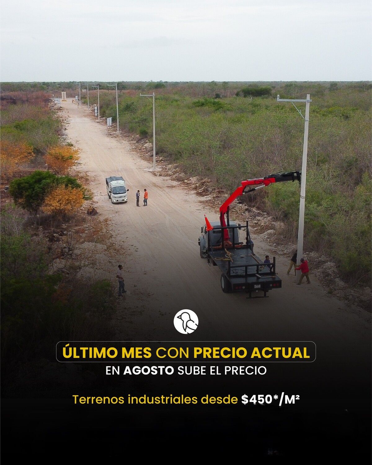5 of 11: INSTALANDO LA LUZ