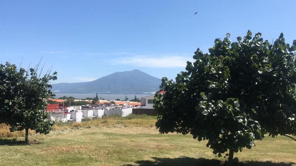 4 de 6