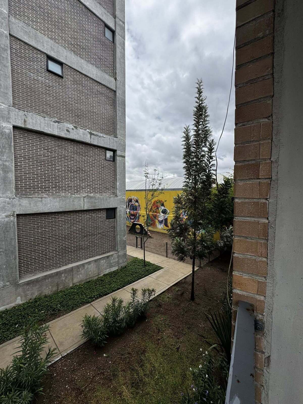 4 de 20